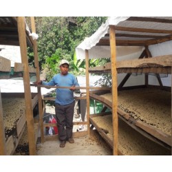 Séchage du café Pérou